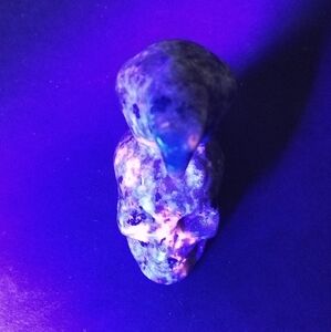 Spooky Carved Raven On Skull Yooperlite Truth Stone